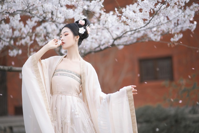 我的团长我的团 封面
